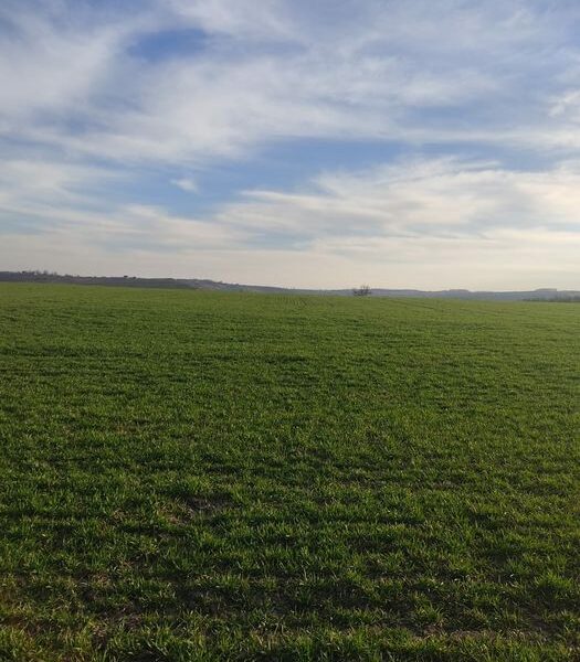 Земельна ділянка с. Годилів, Рутка 500 $