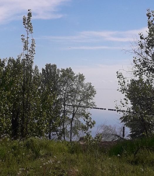 Земельна ділянка біля річки Дніпро в с. Червона Слобода 8 000 $