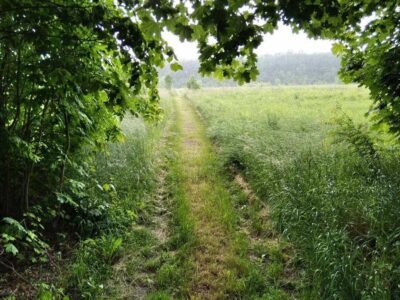 Продам ділянку в Луці-Мелешківській