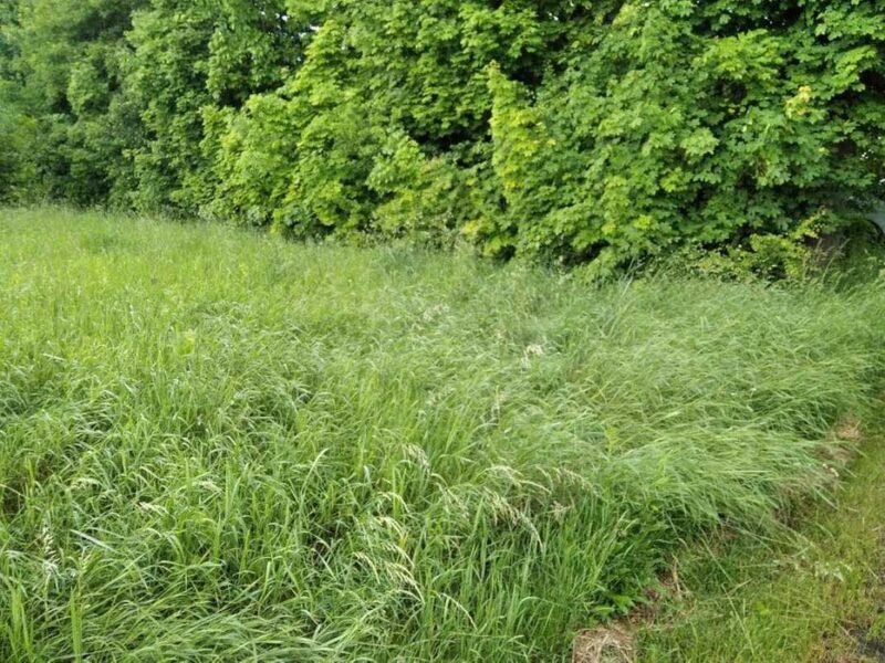 Продам ділянку в Луці-Мелешківській