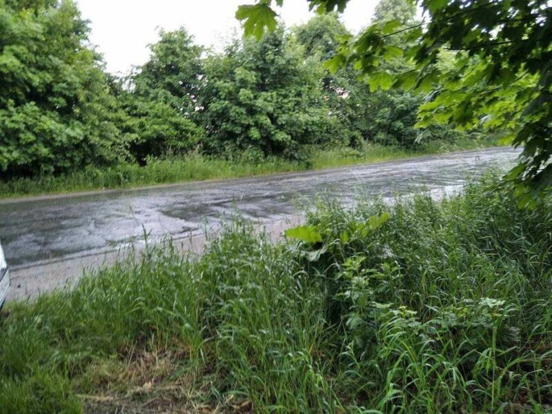 Продам ділянку в Луці-Мелешківській