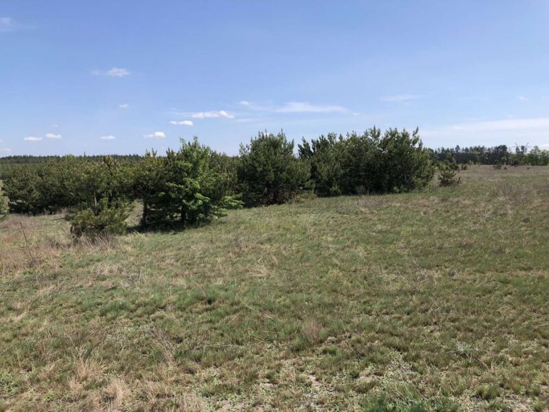 Продаж земельної ділянки (Пай)