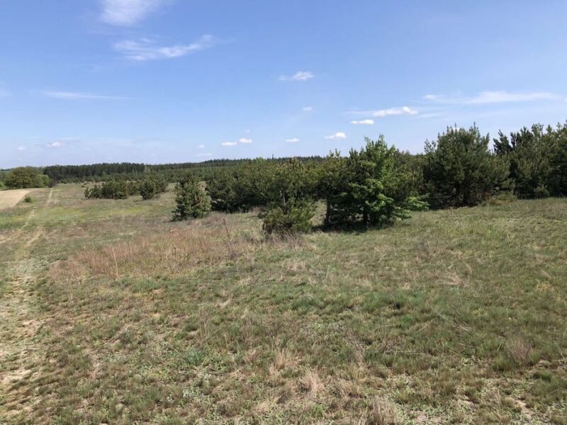 Продаж земельної ділянки (Пай)
