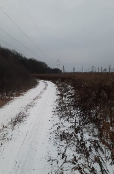 Оренда земельного паю 2 га