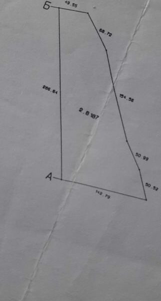 Продається земля сільскогосподарського призначення