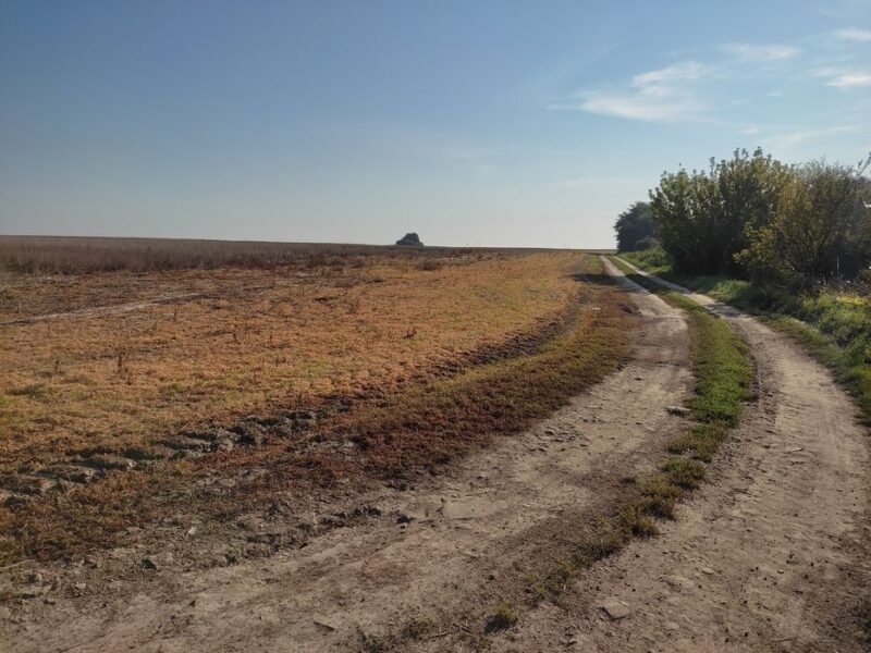 Земля сільгосп призначення