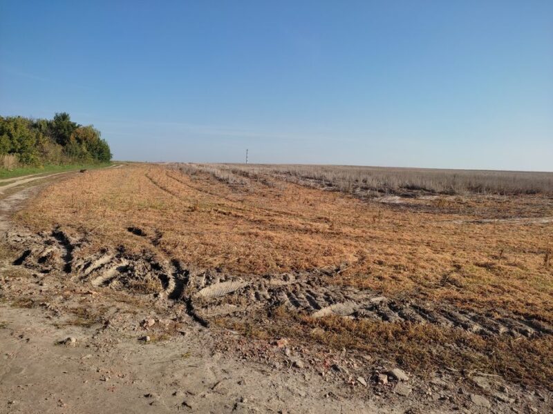 Земля сільгосп призначення