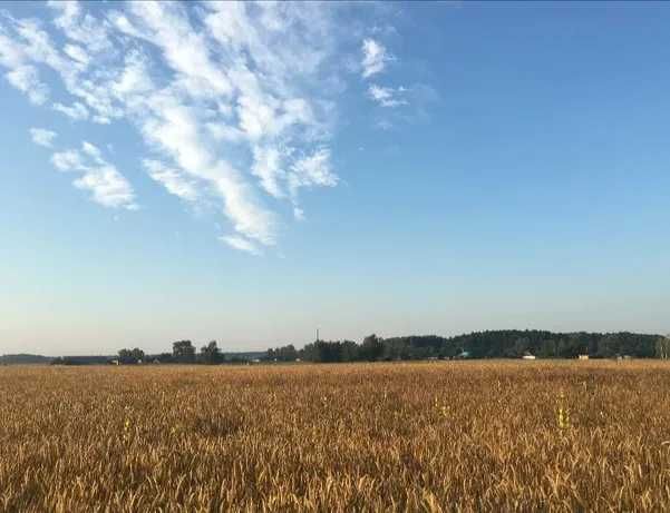 Земля сільгосп призначення, пай
