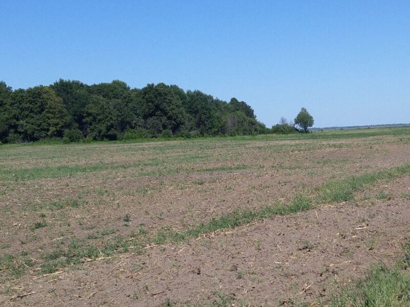 Продаю ділянку 2 га с. Світильня, Броварський район