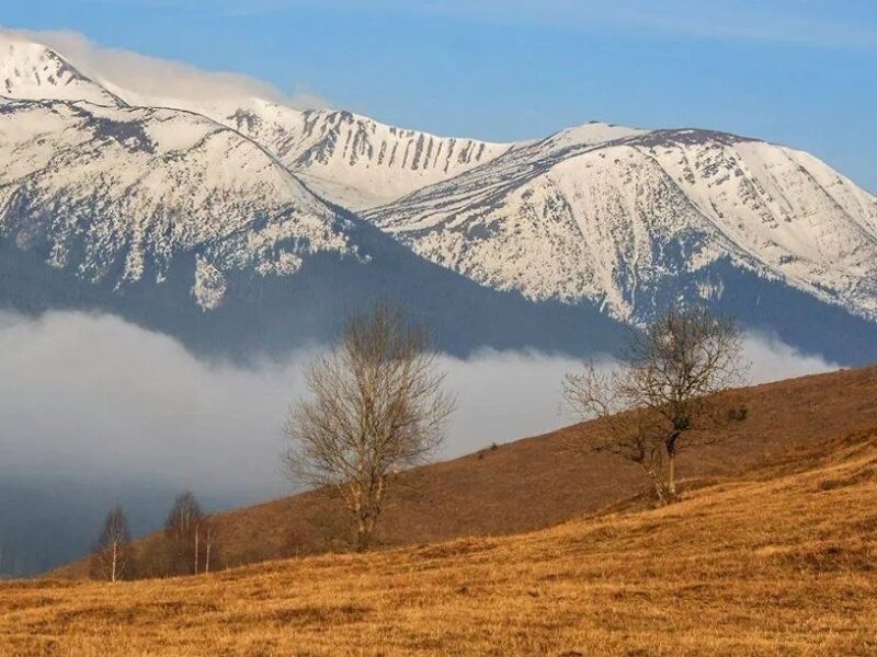 Земельна ділянка продаж