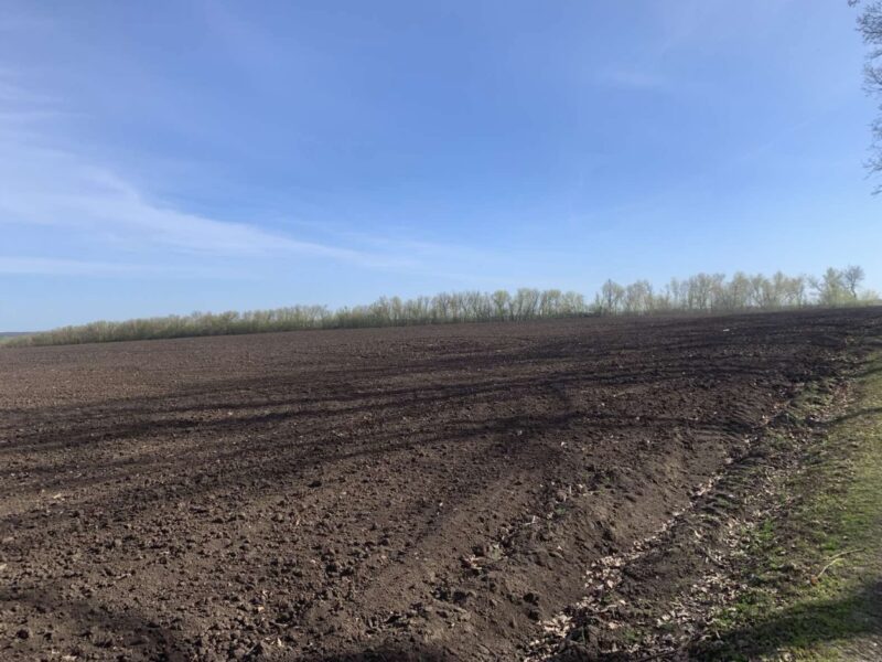 Продажа землі ОСГ.