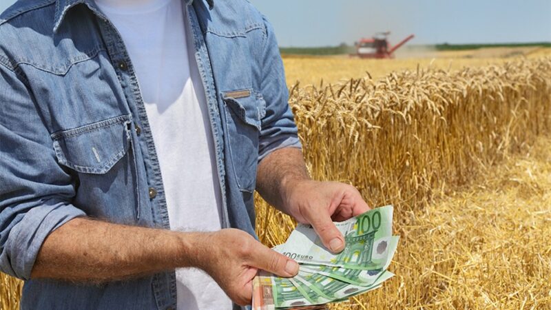 Відкритий ринок землі для ЄС: наслідки та переваги