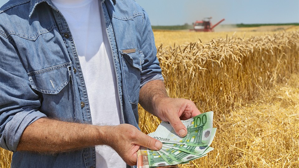 Відкритий ринок землі для ЄС: наслідки та переваги
