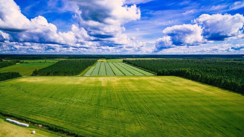 Продовження строку оформлення земельних паїв до 2028 року: основні зміни та ризики