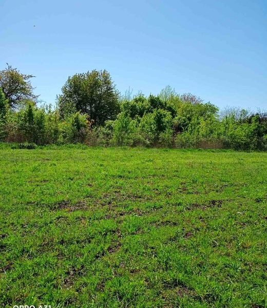 Продаж земельної ділянки (пай) площа 6 га