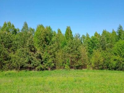 Продаж земельної ділянки (пай) площа 6 га