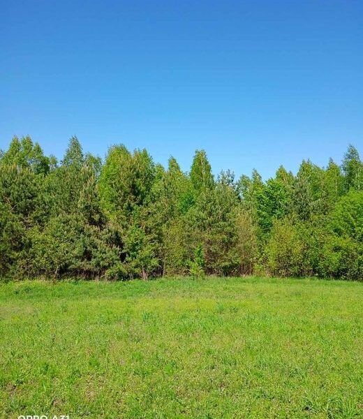 Продаж земельної ділянки (пай) площа 6 га