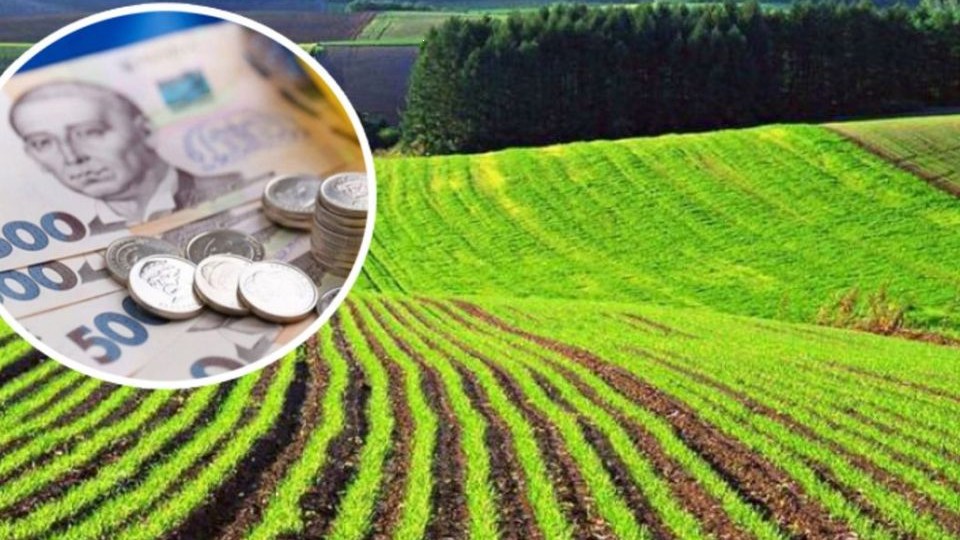 Ціни на сільськогосподарські землі в Україні 2024: фактори впливу та вартість
