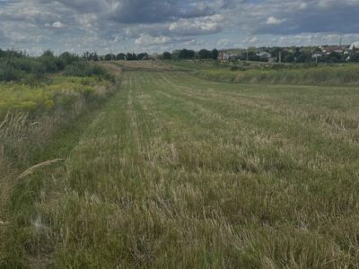 Продам землю в с. Сокільники