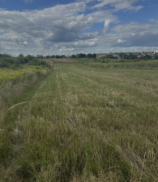 Продам землю в с. Сокільники