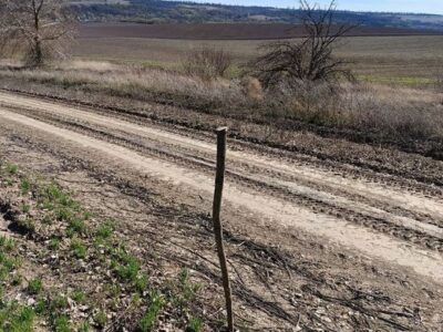 Продаж земельної ділянки ПАЙ в с. Трипілля