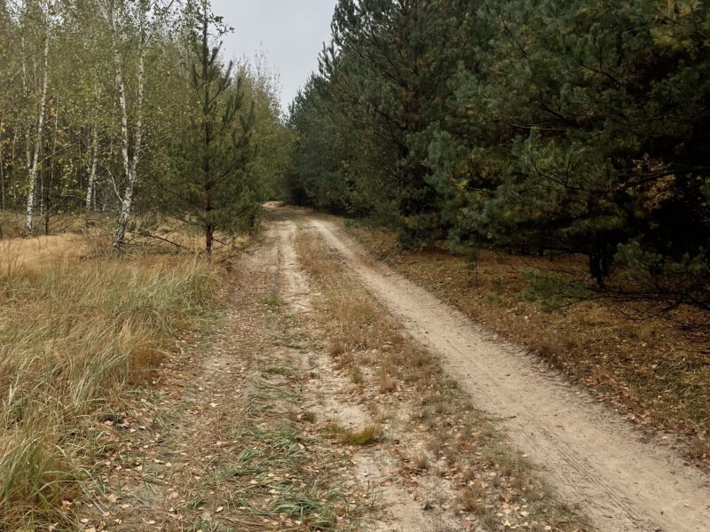 Продаж 2 га ділянки сільськогосподарського призначення