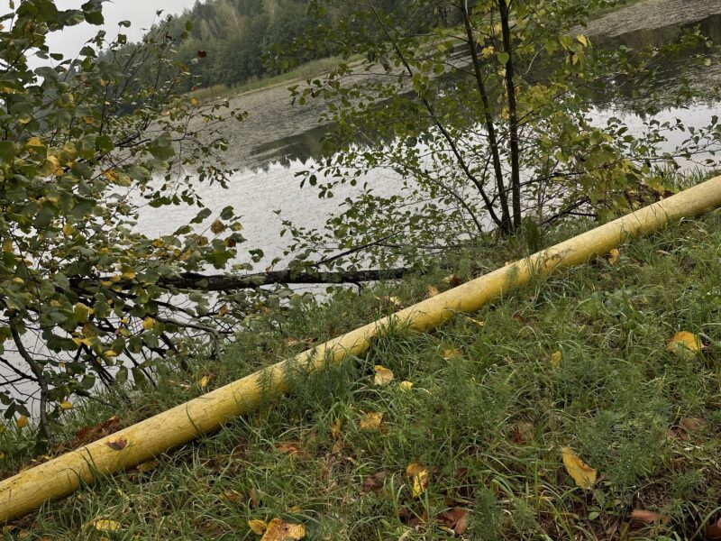 Продаж 2 га ділянки сільськогосподарського призначення