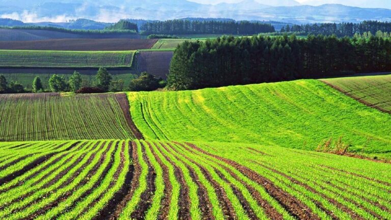 Закон про продовження оформлення паїв до 2028 року підписано