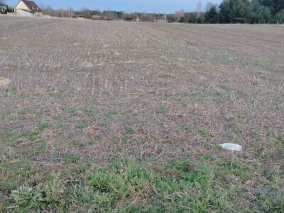 Терміновий продаж ділянки