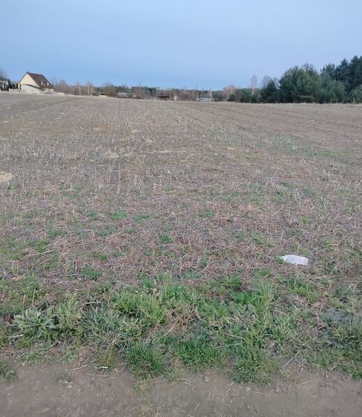 Терміновий продаж ділянки