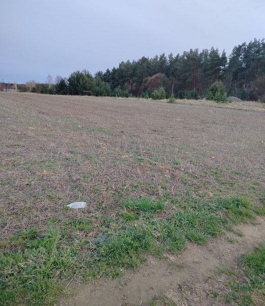 Терміновий продаж ділянки