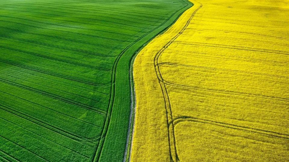 Інвестиції в землю в Україні у 2025 році: чому вона може подорожчати вдвічі до 2030-го