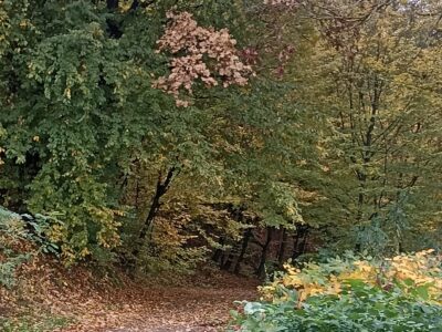Земельна ділянка в курортному місті Шаян