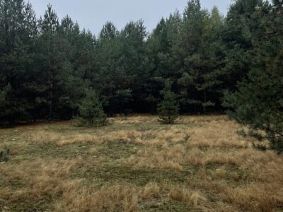 Продаж 2 га ділянки сільськогосподарського призначення 95 км від Києва