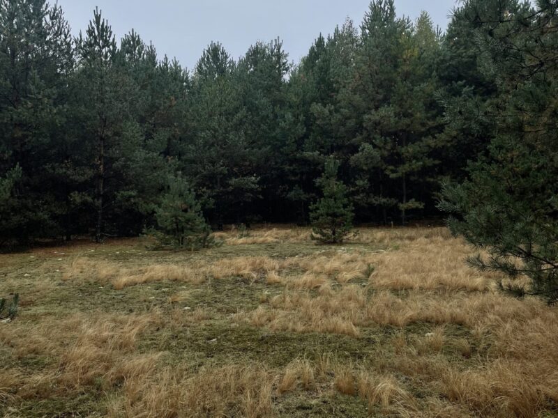 Продаж 2 га ділянки сільськогосподарського призначення 95 км від Києва