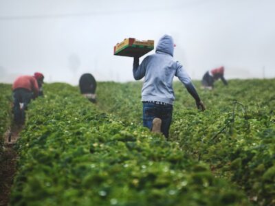 Продаж земельної ділянки під житлову забудову на вул. Набережна, площа 6 соток