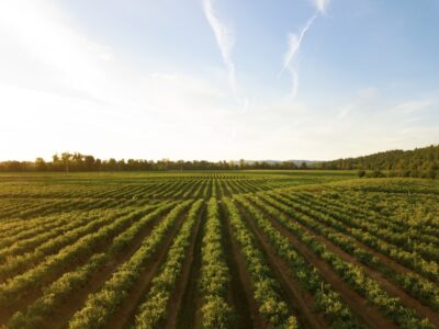 Продаж земельної ділянки під житлову забудову на просп. Берестейський, площа 10 соток
