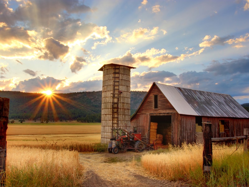 Продаж земельної ділянки сільськогосподарського призначення, площа 38 соток