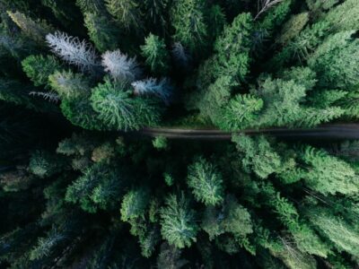 Продаж земельної ділянки під забудову на вул. Всеволода Нестайка, площа 10 соток
